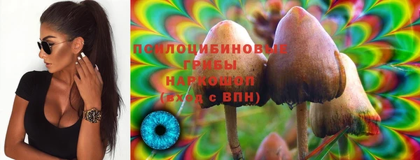 дмт Медвежьегорск