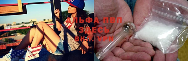 сатива Мегион