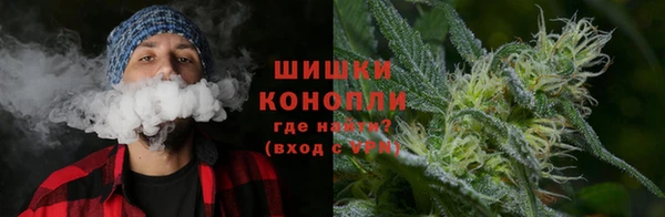 тгк Медногорск