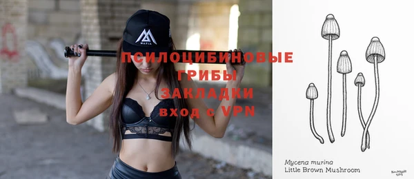 сатива Мегион