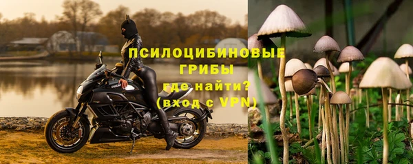 дмт Медвежьегорск