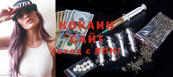сатива Мегион